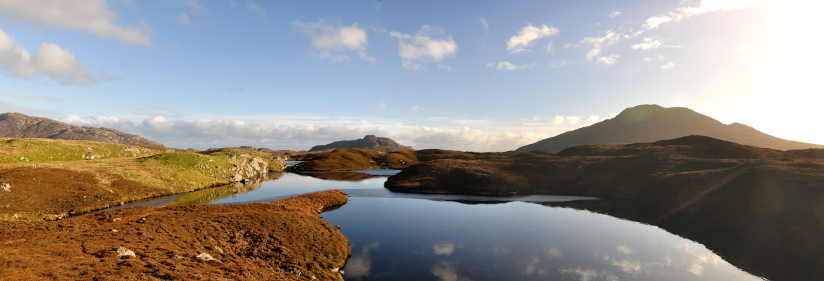 Varied landscapes